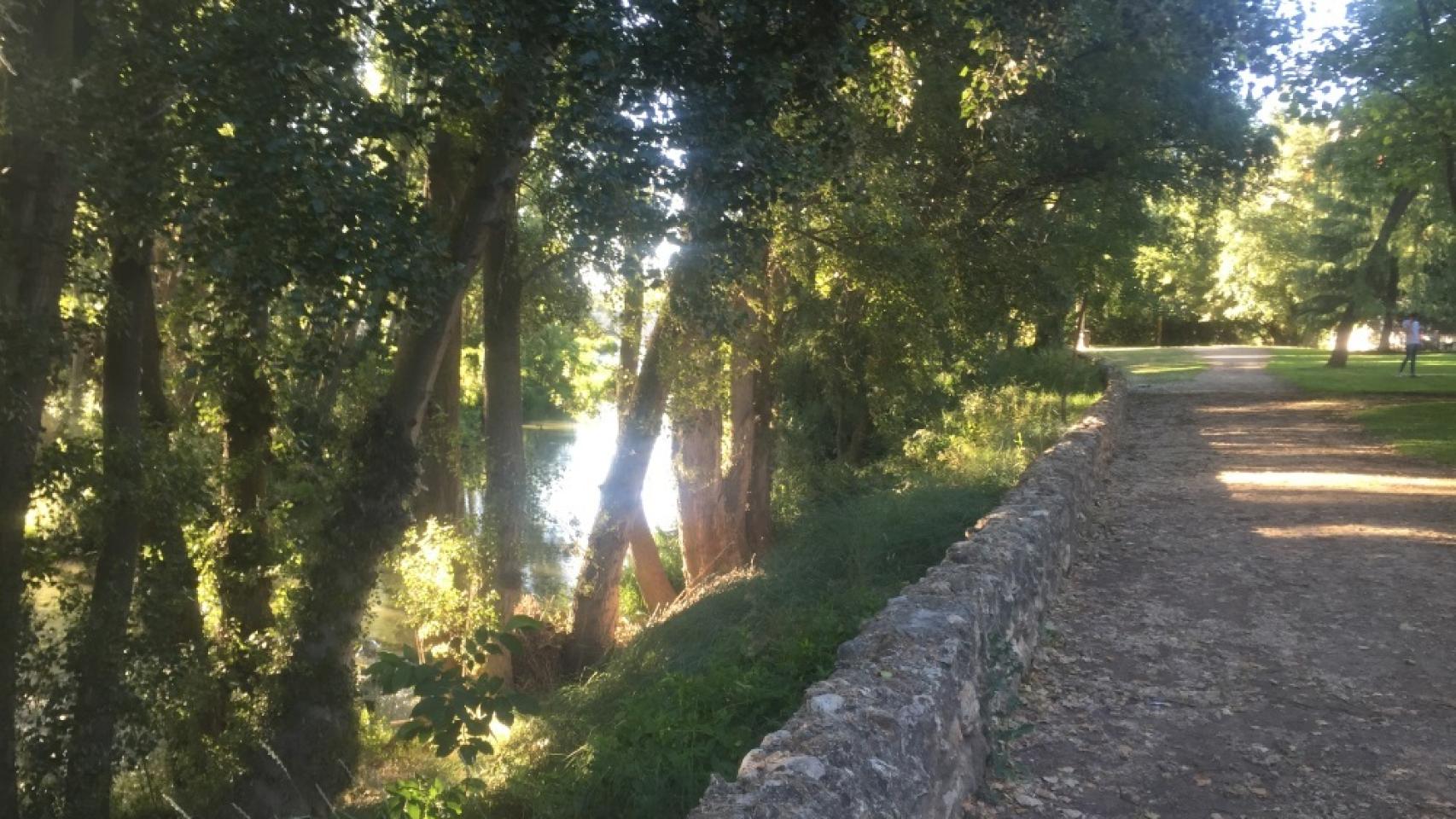 El río Carrión a su paso por Palencia.