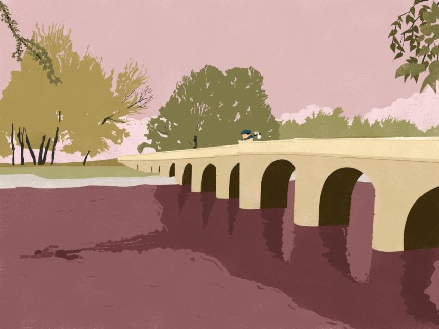 Uno de los paisajes en los que se inspiró Ferlosio, ilustrado por Martín Elfman.