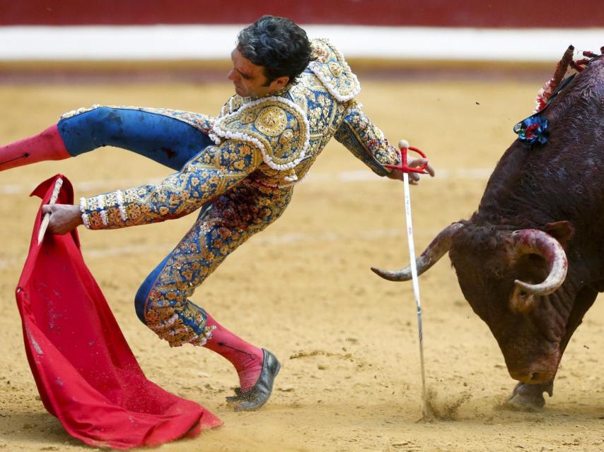 José Tomás en Illumbe.