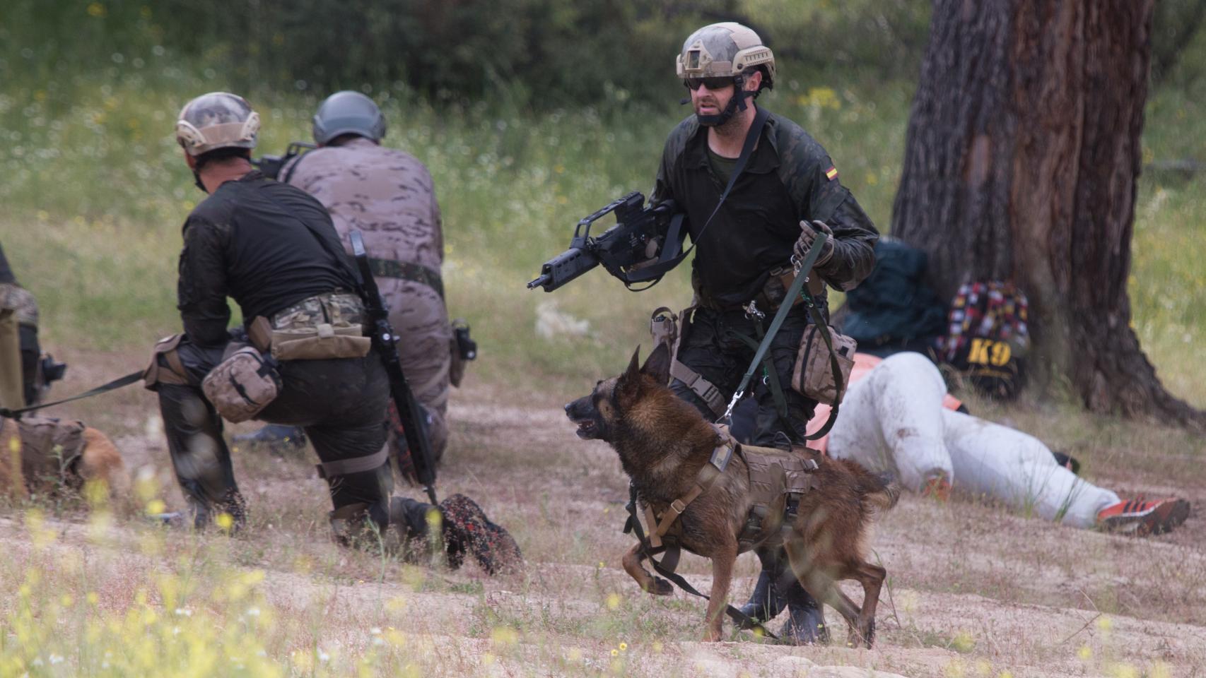 Jornadas técnicas del Perro de Intervención.