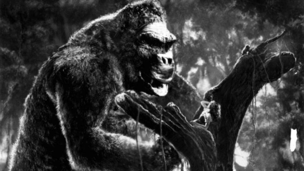 Image: Jordi Agustí