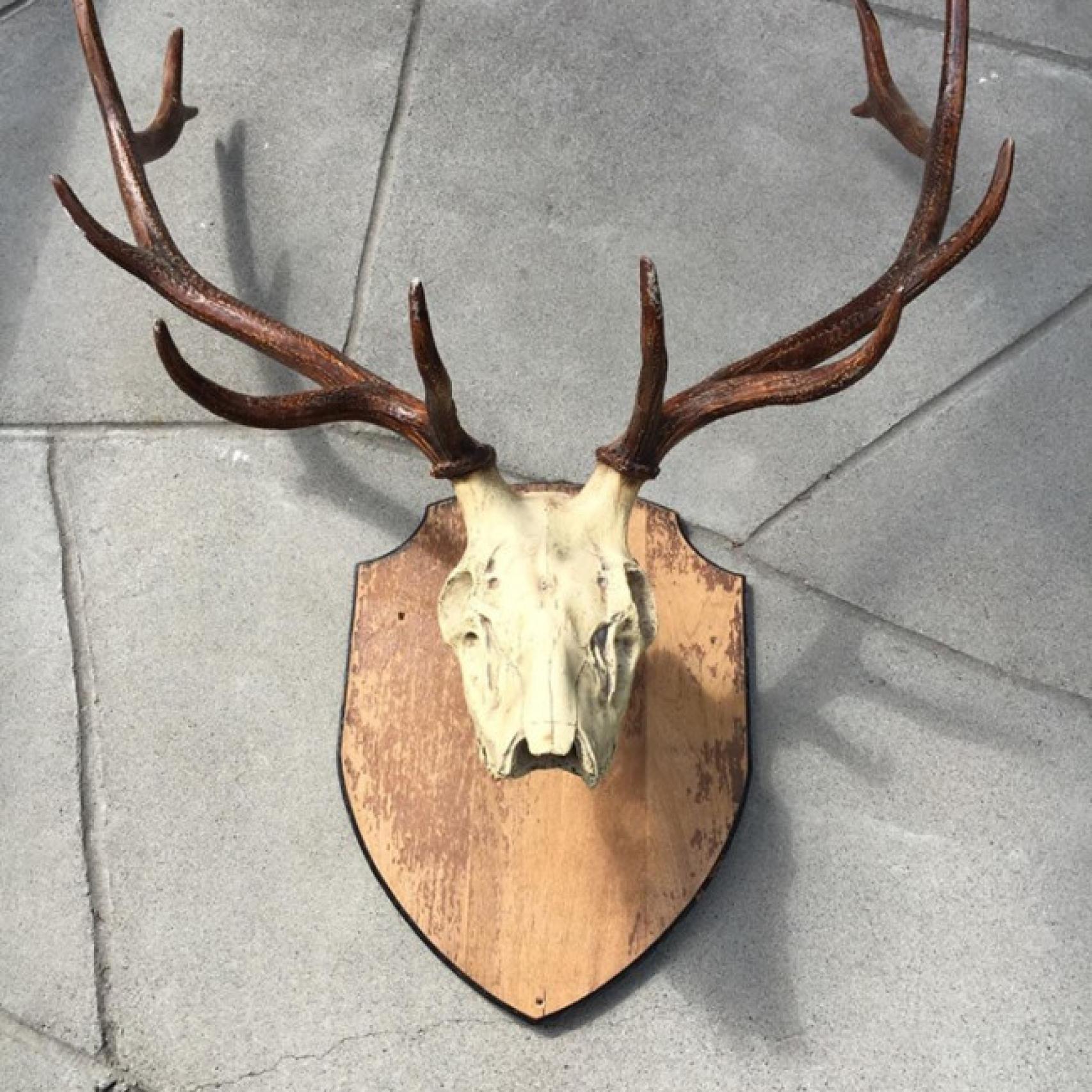 La cornamenta que Thompson le robó a Hemingway