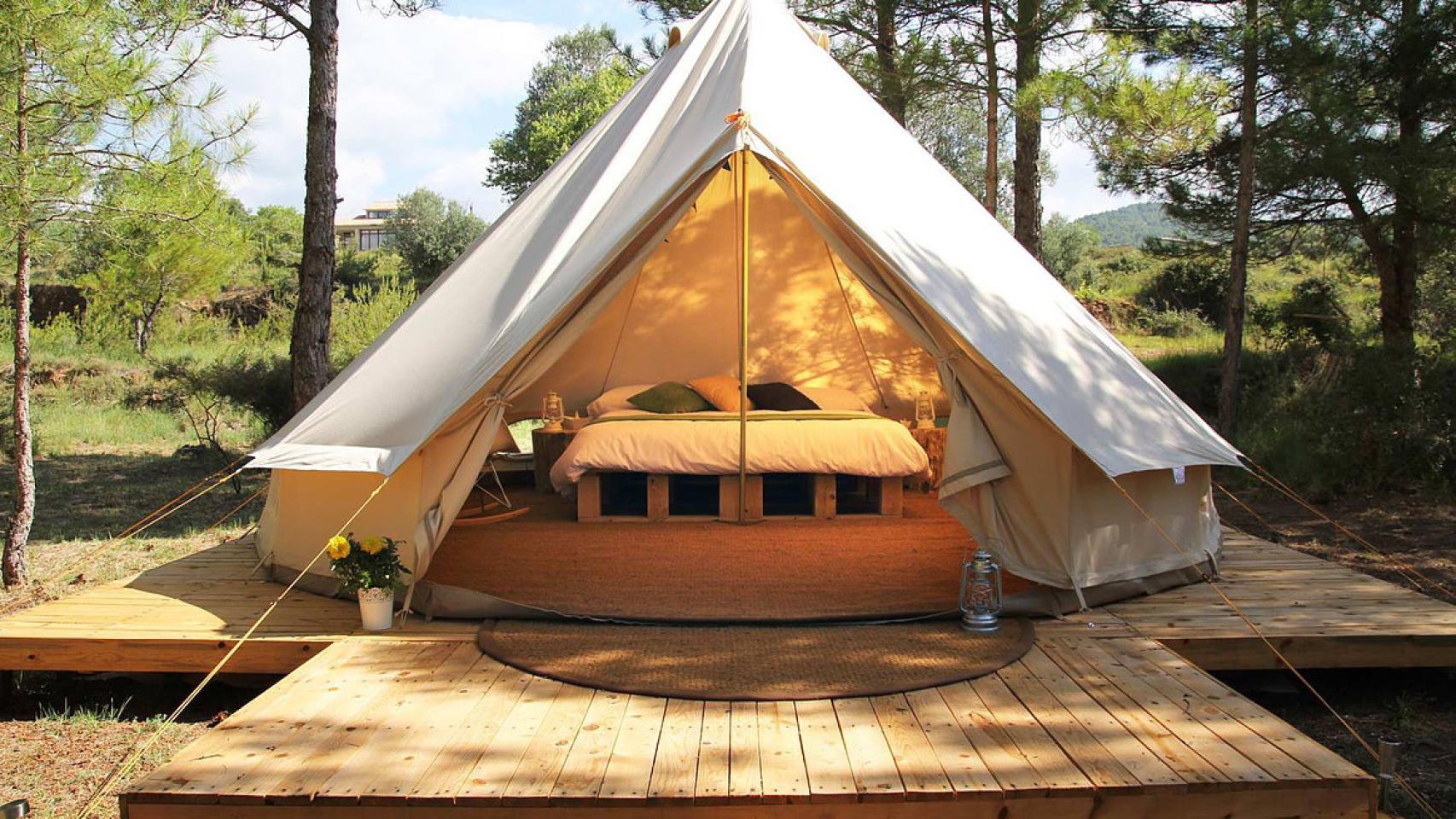 Siente el contacto con la naturaleza durmiendo en un bosque rodeado de pinos.