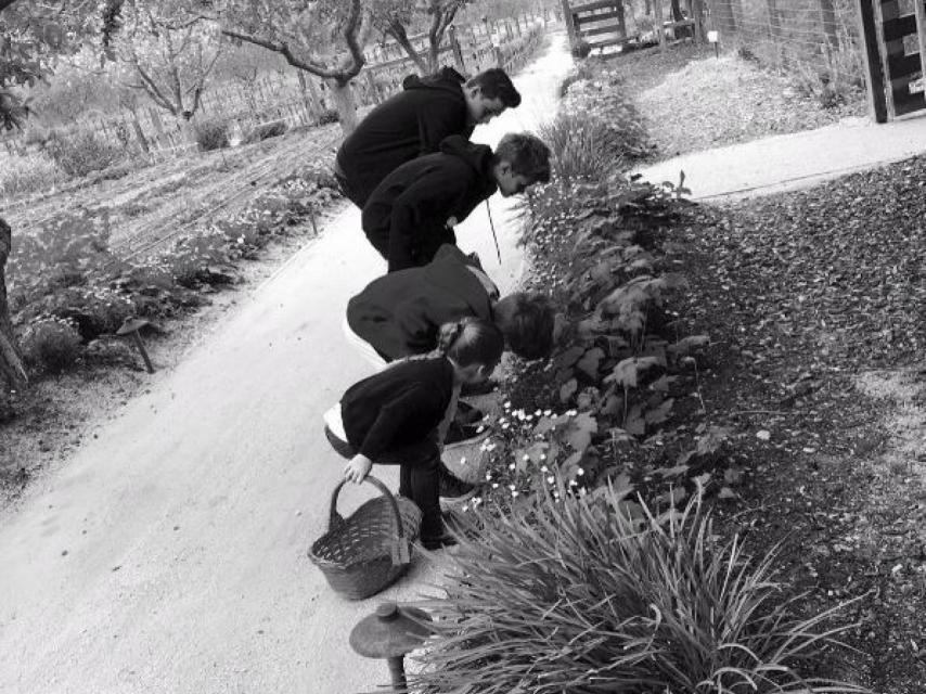 Los hijos de David y Victoria Beckham.