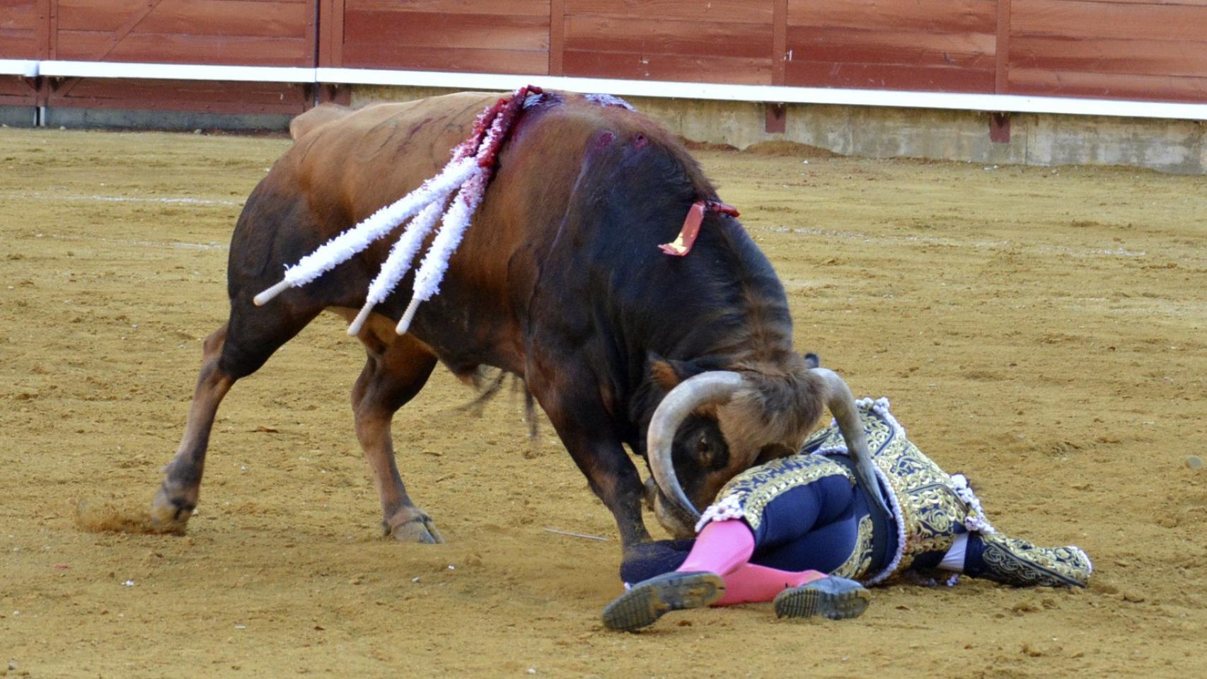 El peruano Roca Rey, cogido por el tercer toro de la tarde.