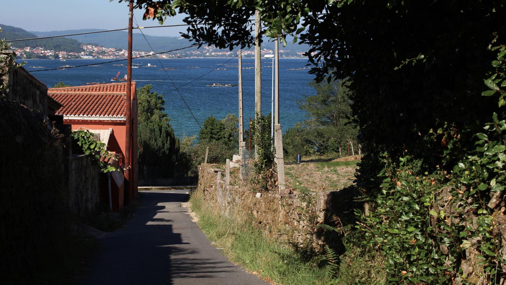 Para ir desde la iglesia hasta la casa de la familia hay que atravesar este camino.