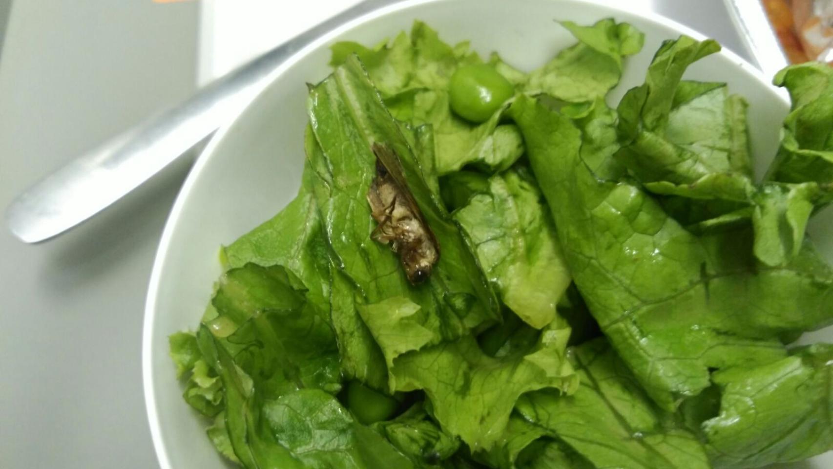 Por qué no pasa nada si un consumidor encuentra un saltamontes en la ensalada