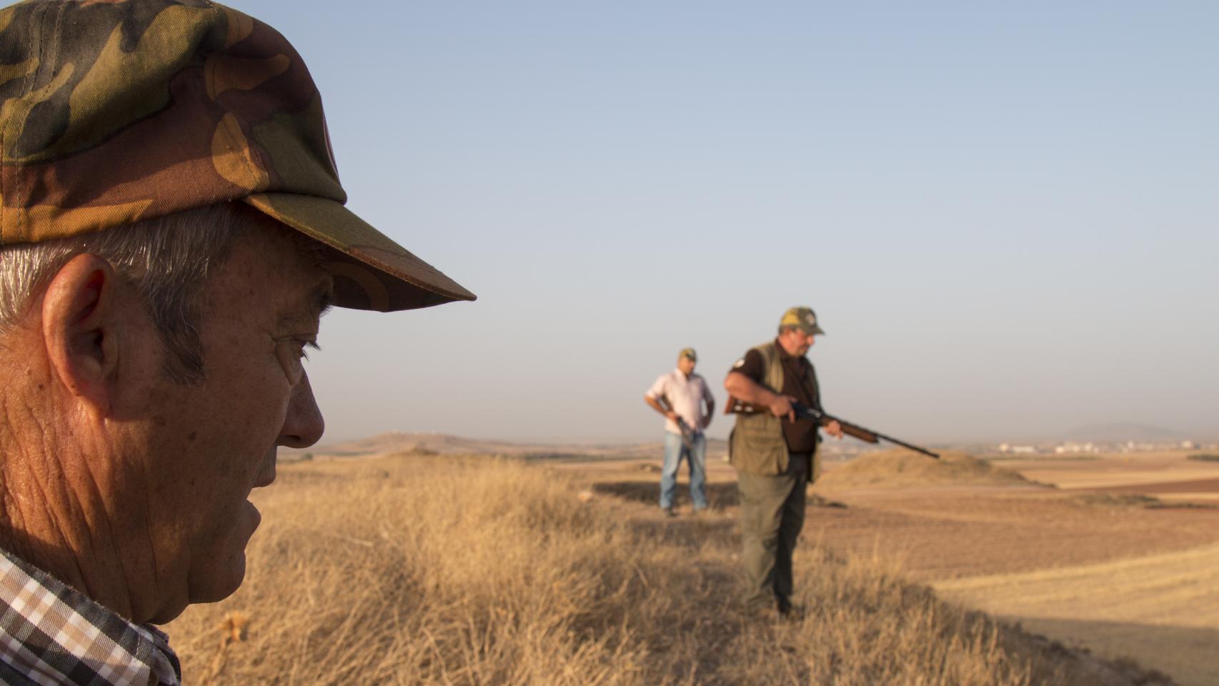 Se organizan batidas diarias de hasta 60 cazadores para intentar acabar con la plaga.