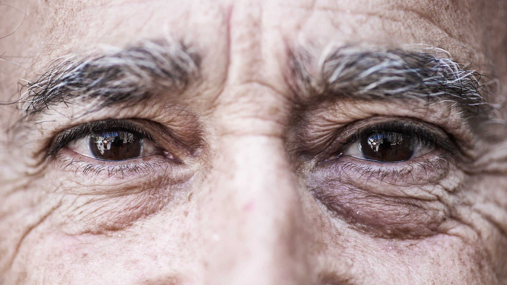 Luis Francisco Esplá.