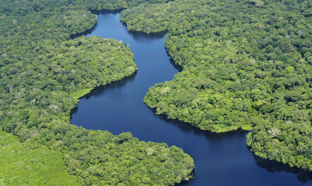 destruccion_amazonas