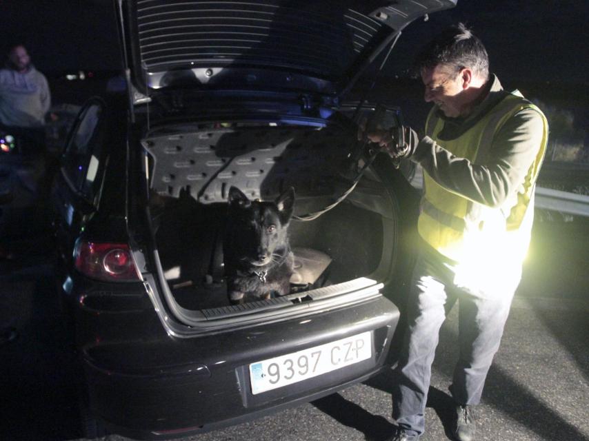 Los agentes son ayudados por perros adiestrados para las misiones