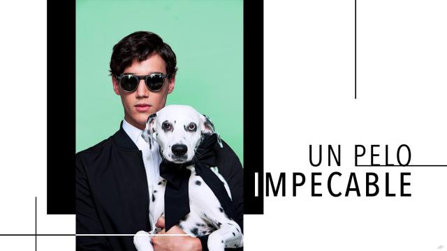 Gel fijador para un pelo impecable.