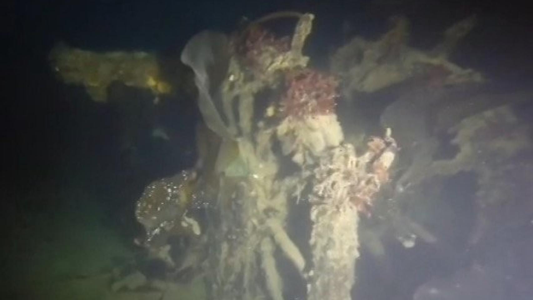 Imagen del timón del HMS Terror.