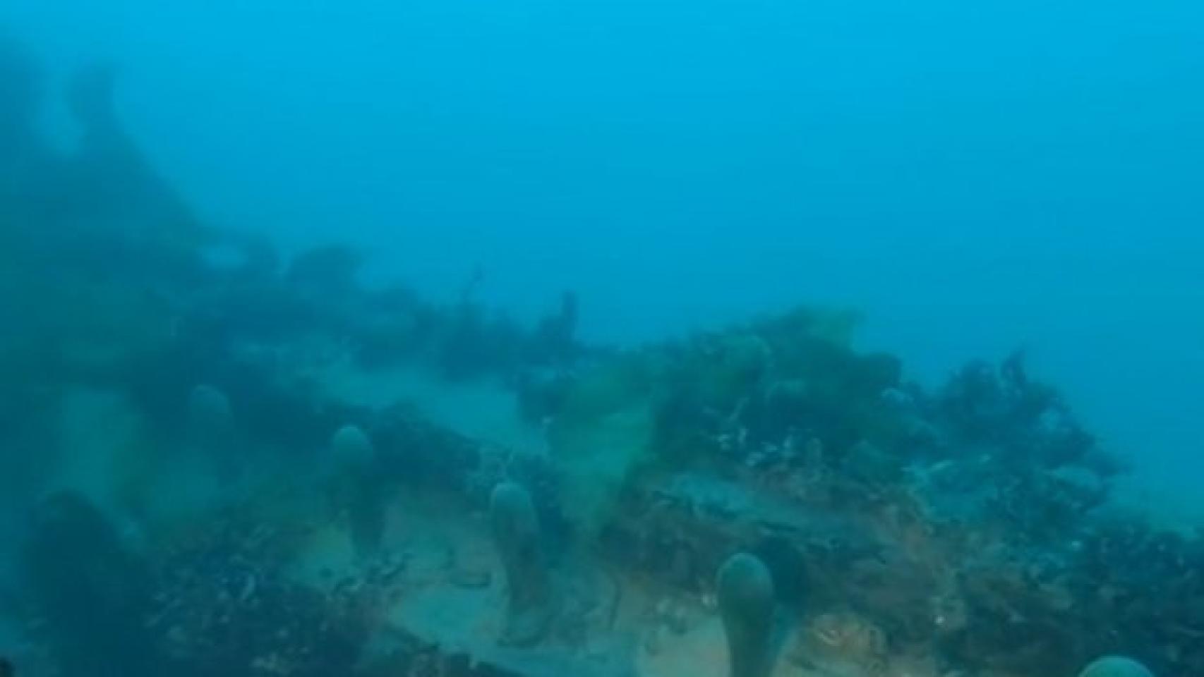 Restos del HMS Terror encontrados en el Ártico.