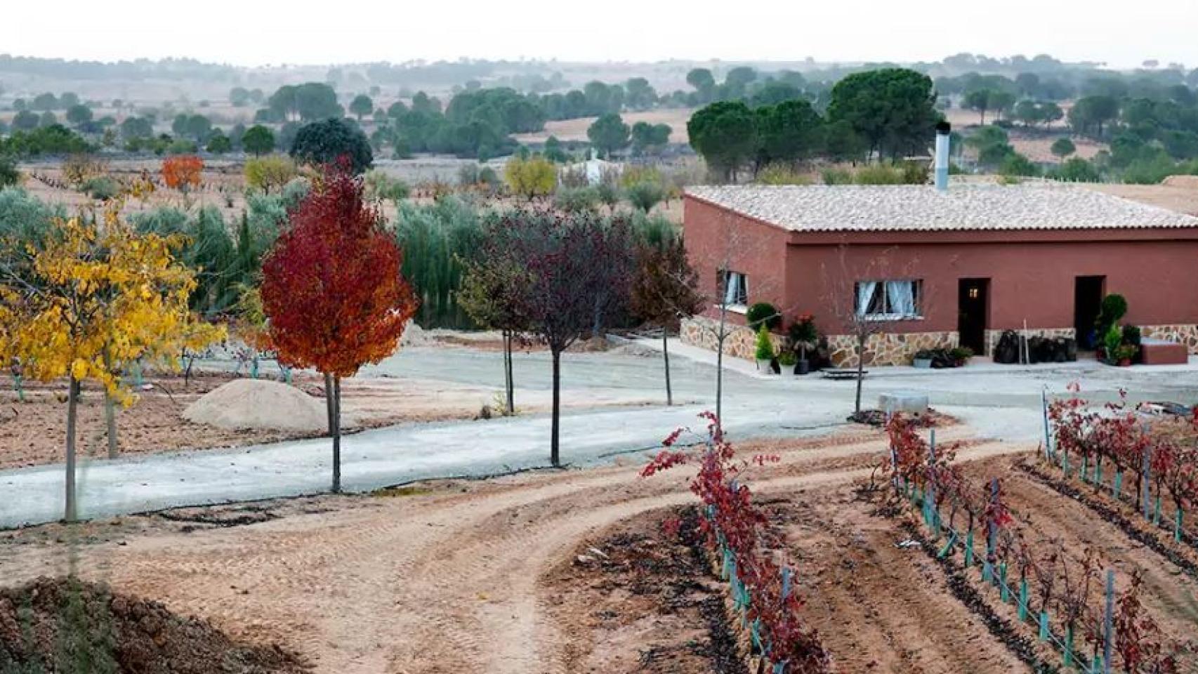 La finca de los Iniesta.