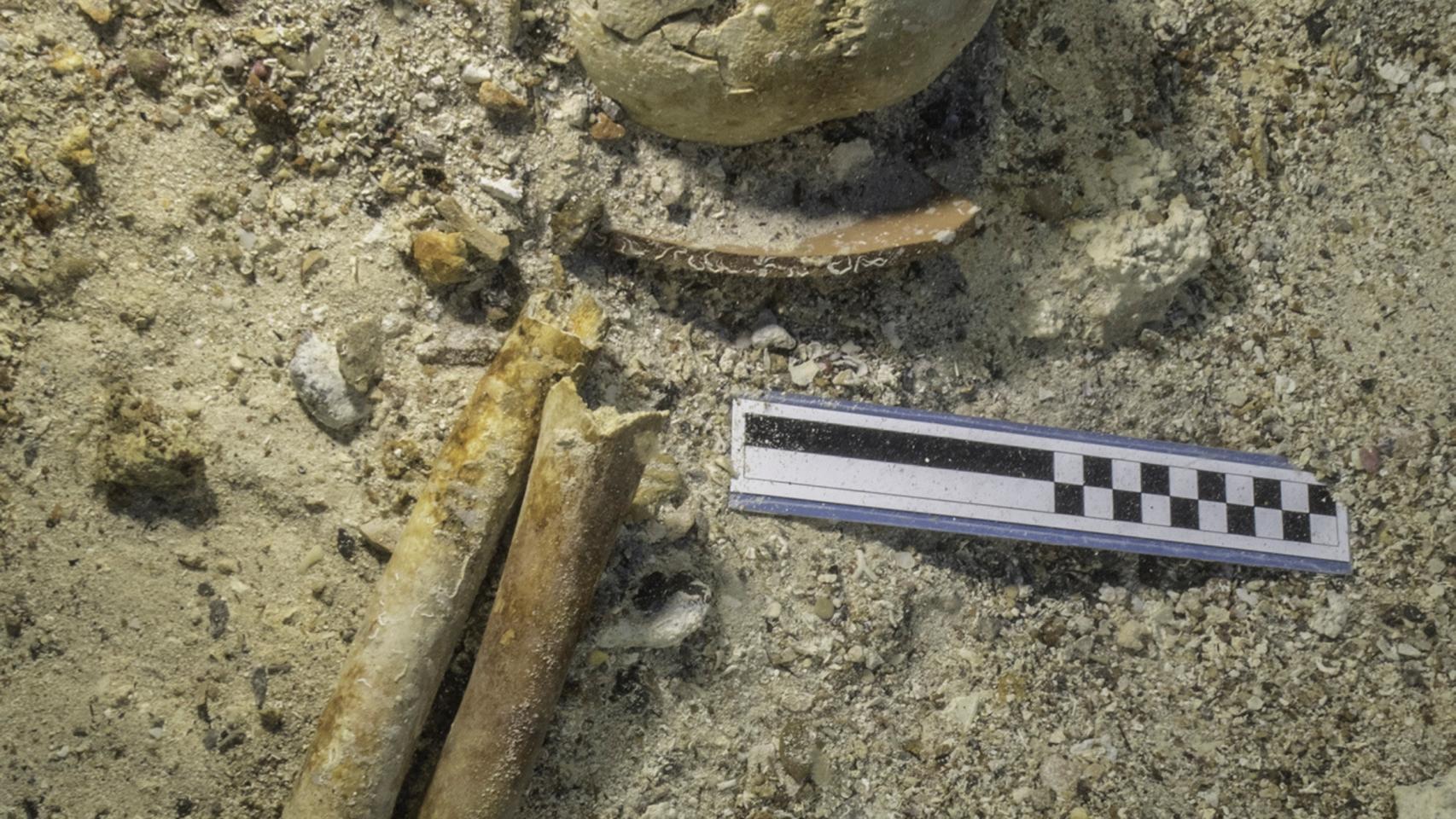 Restos de los huesos encontrados en el barco de Anticitera.