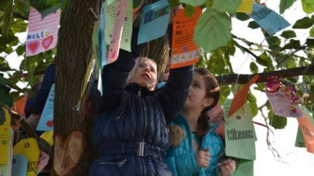 TVE cumplirá sueños de niños en 'El árbol de los deseos'