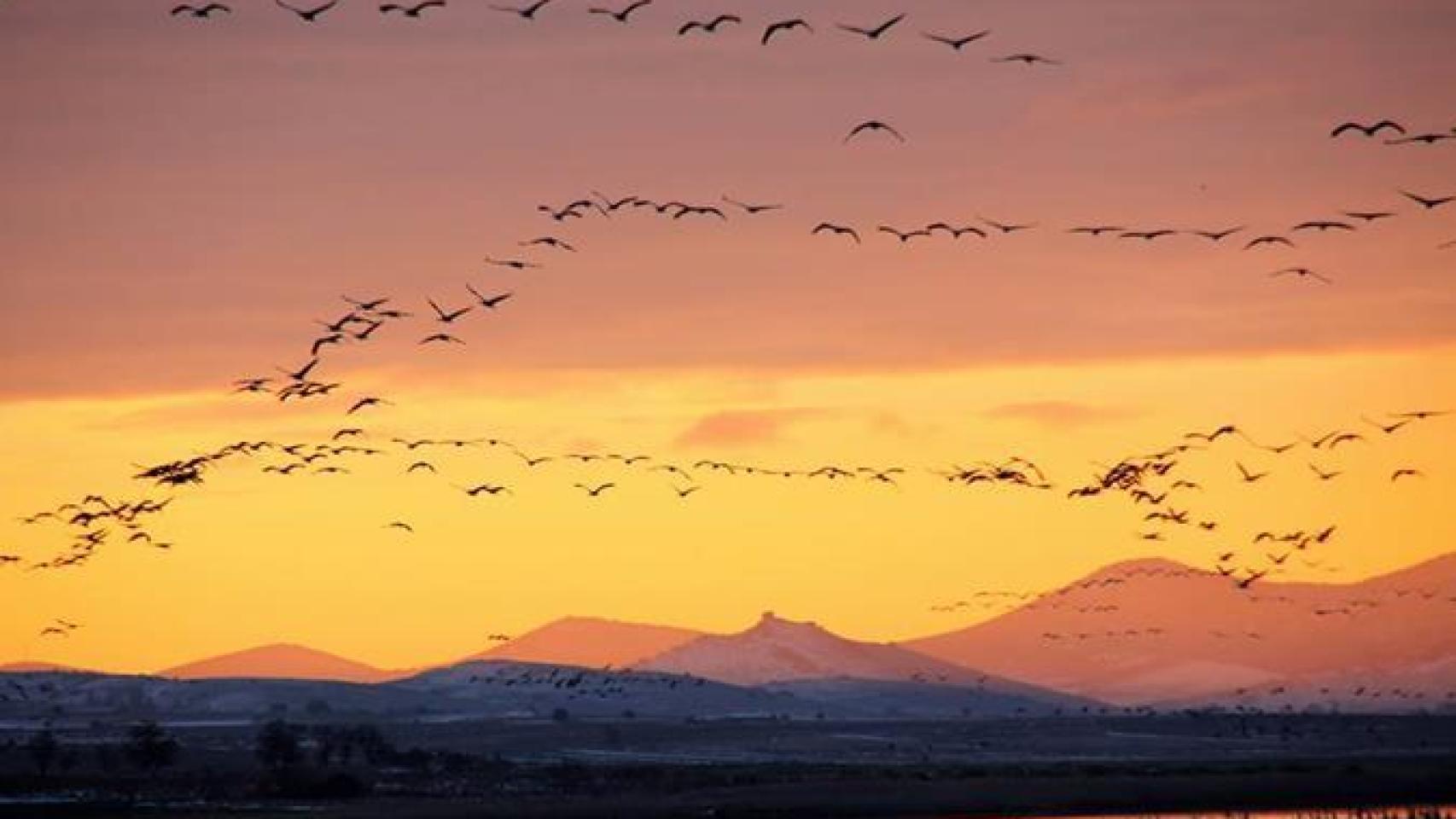 Un atardecer en las Lagunas de Gallocanta.