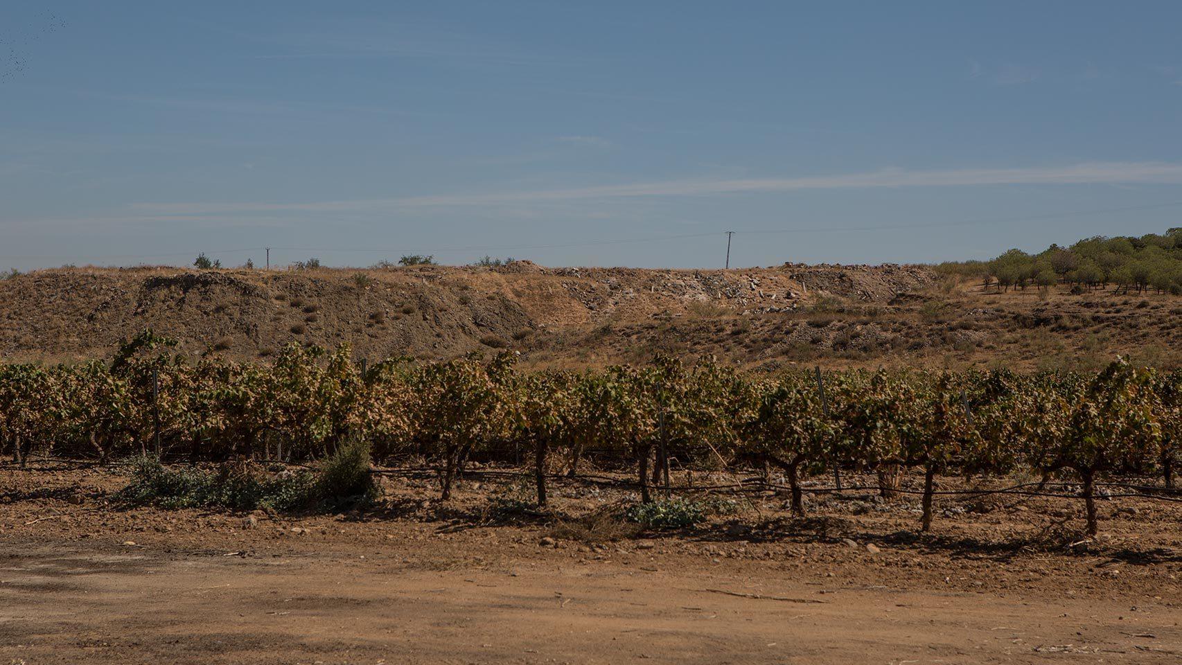 Laderas compuestas de desechos, con vides en primer término.