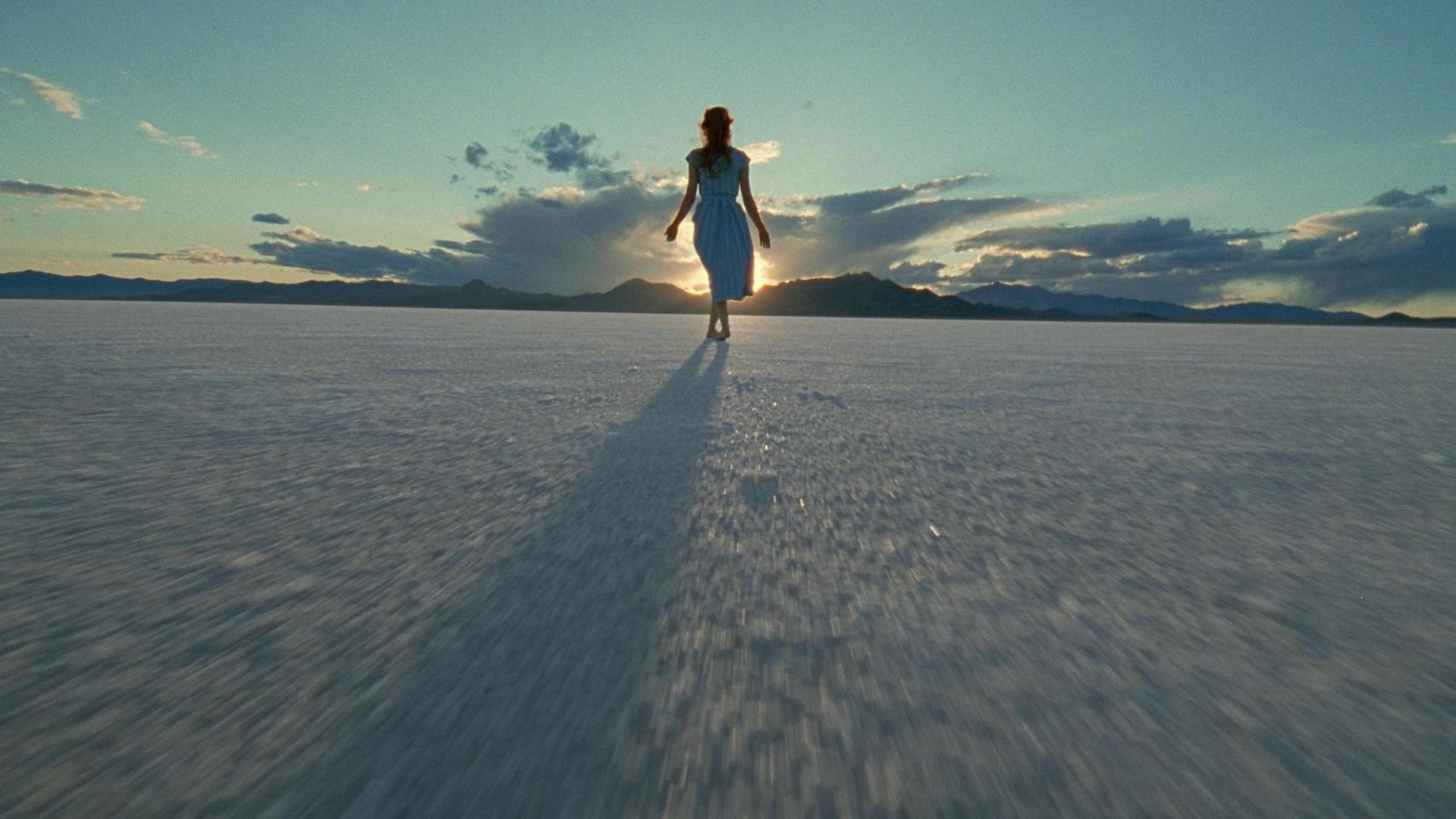 El árbol de la vida, cine de autor para gente introspectiva.