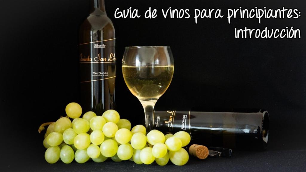introduccion-vinos