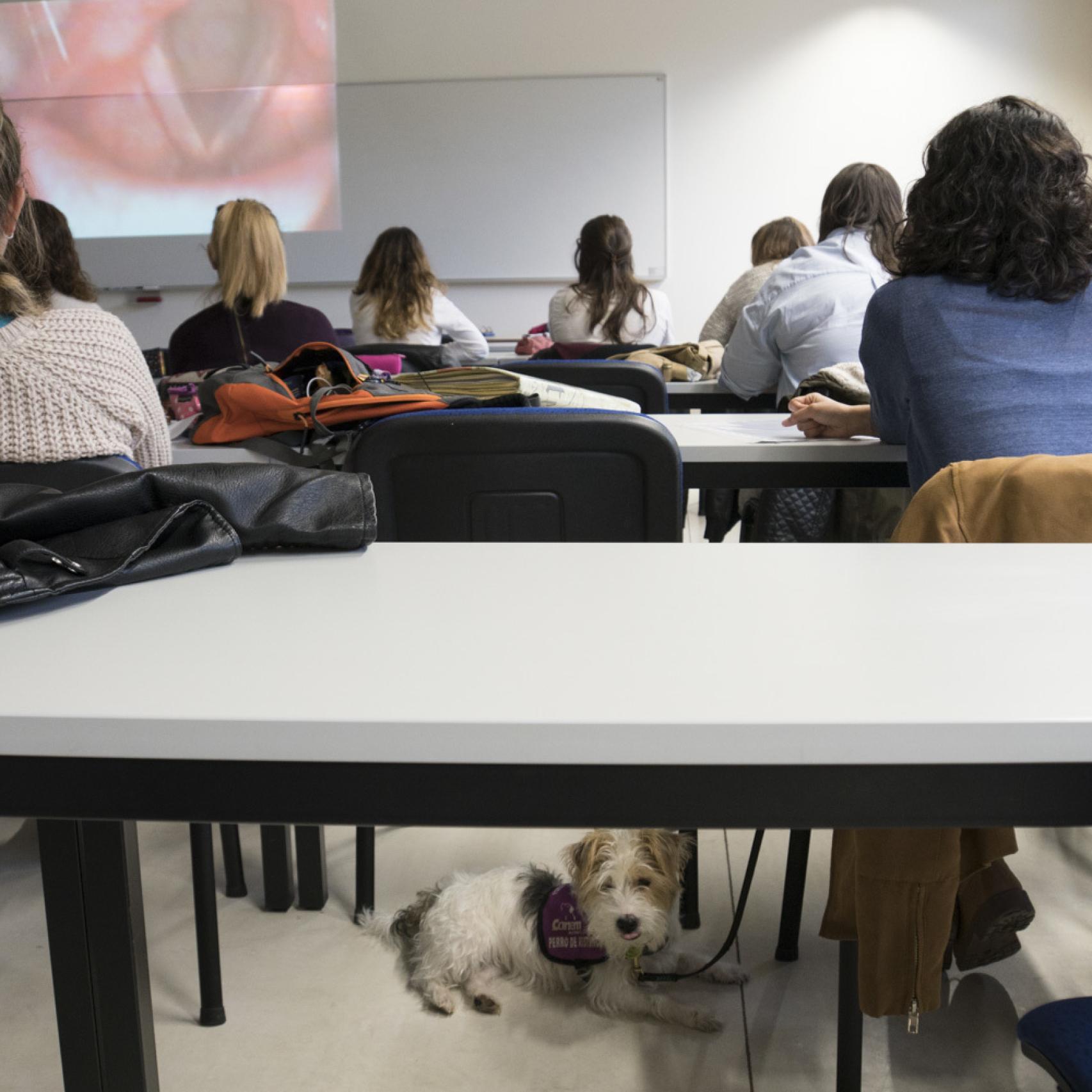 Lidia junto a su perra Cini en una clase universitaria
