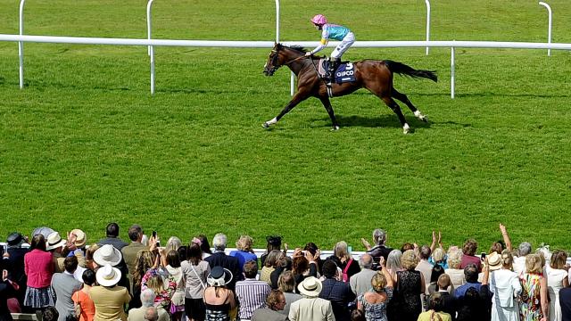 Frankel compitiendo en Chichester en 2012.