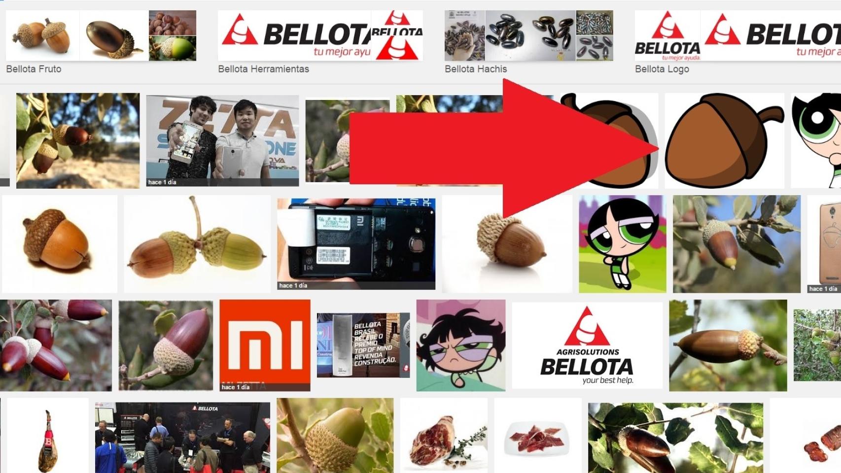 Algunos de los resultados que arroja la primera página de Google tras teclear bellota.