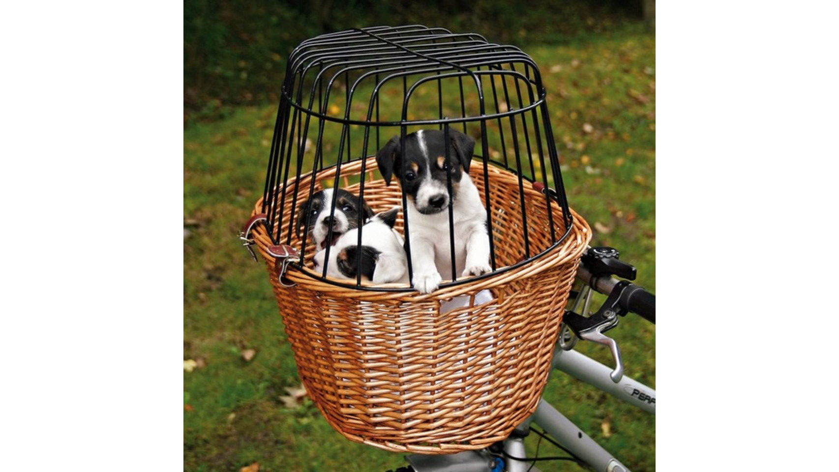 Cesta con jaula de mimbre.