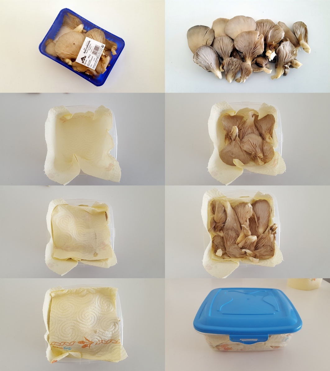 guardar-setas-en-la-nevera-02