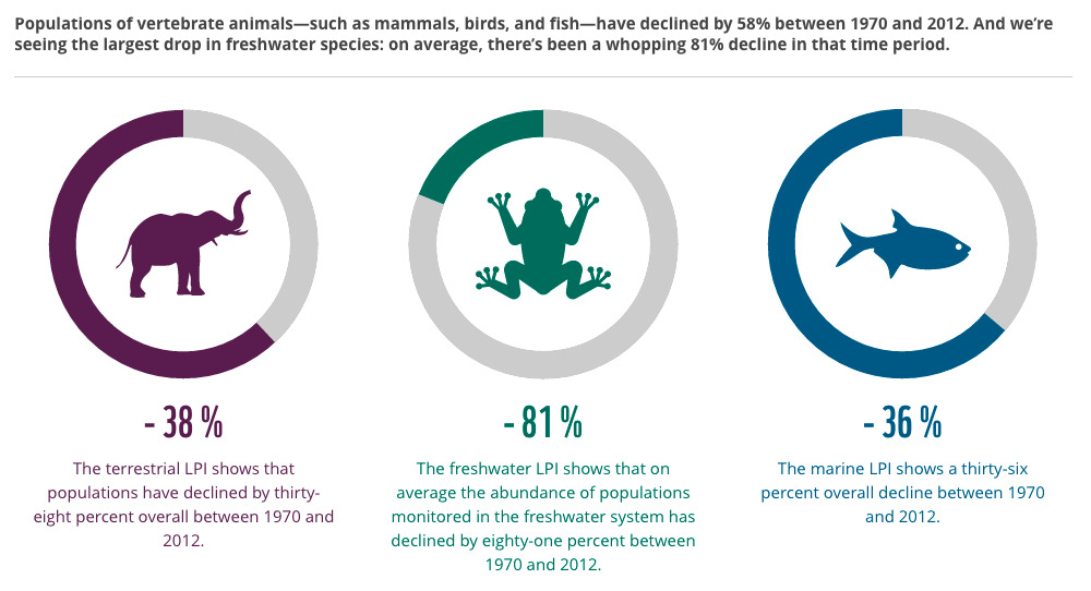 living_planet_report