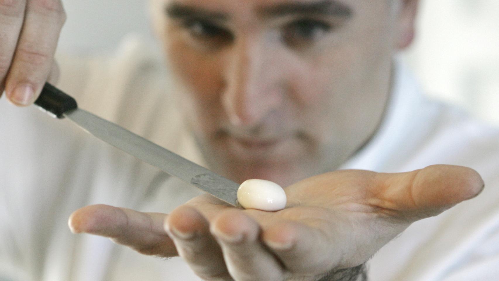 Con una bola de yogurt en la mano para preparar carrilleras de ternera en La Rioja en 20009