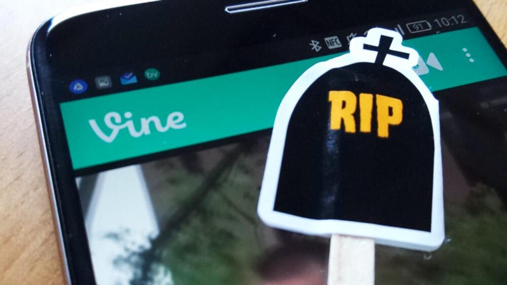 Cómo descargar todos los Vines antes de que desaparezcan