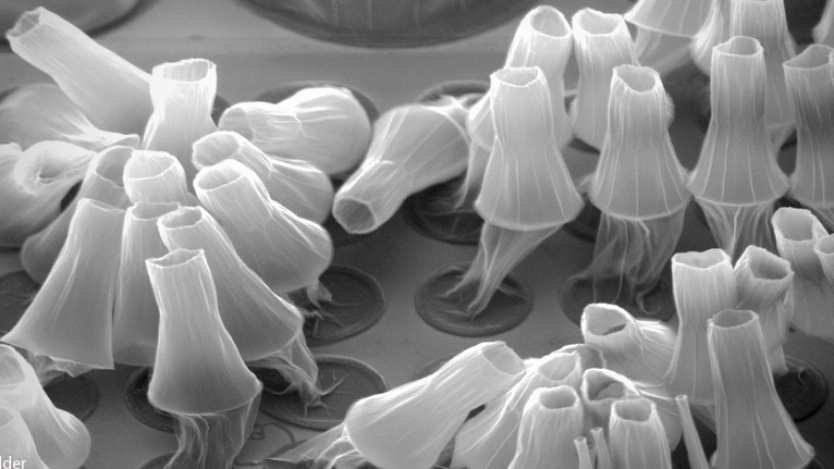 Nanotubos de carbono luminiscentes creados en Cambridge.