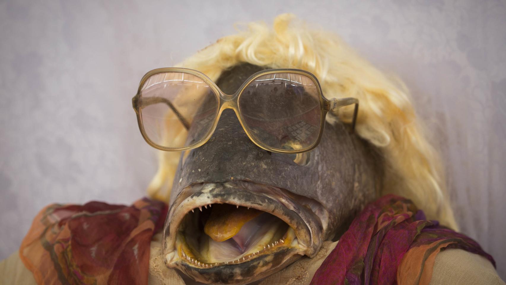 Puestos de la plaza de Abastos de Cádiz durante la celebración de Tosantos.