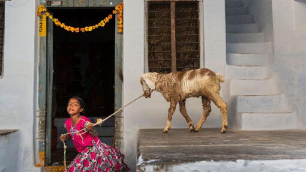 Image: García Rodero, sueños en color