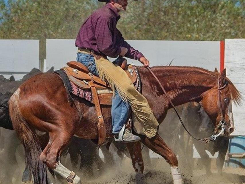 Guillermo es un físico sevillano apasionado del mundo del caballo.
