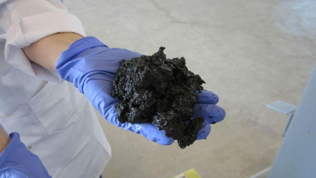 heces en combustible