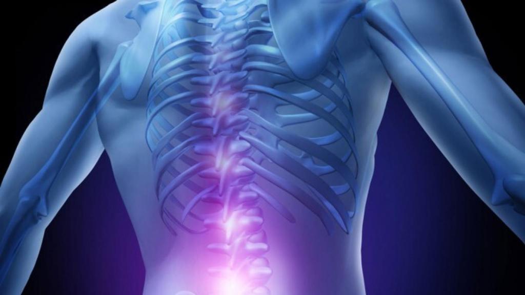 medula_espinal-680x396