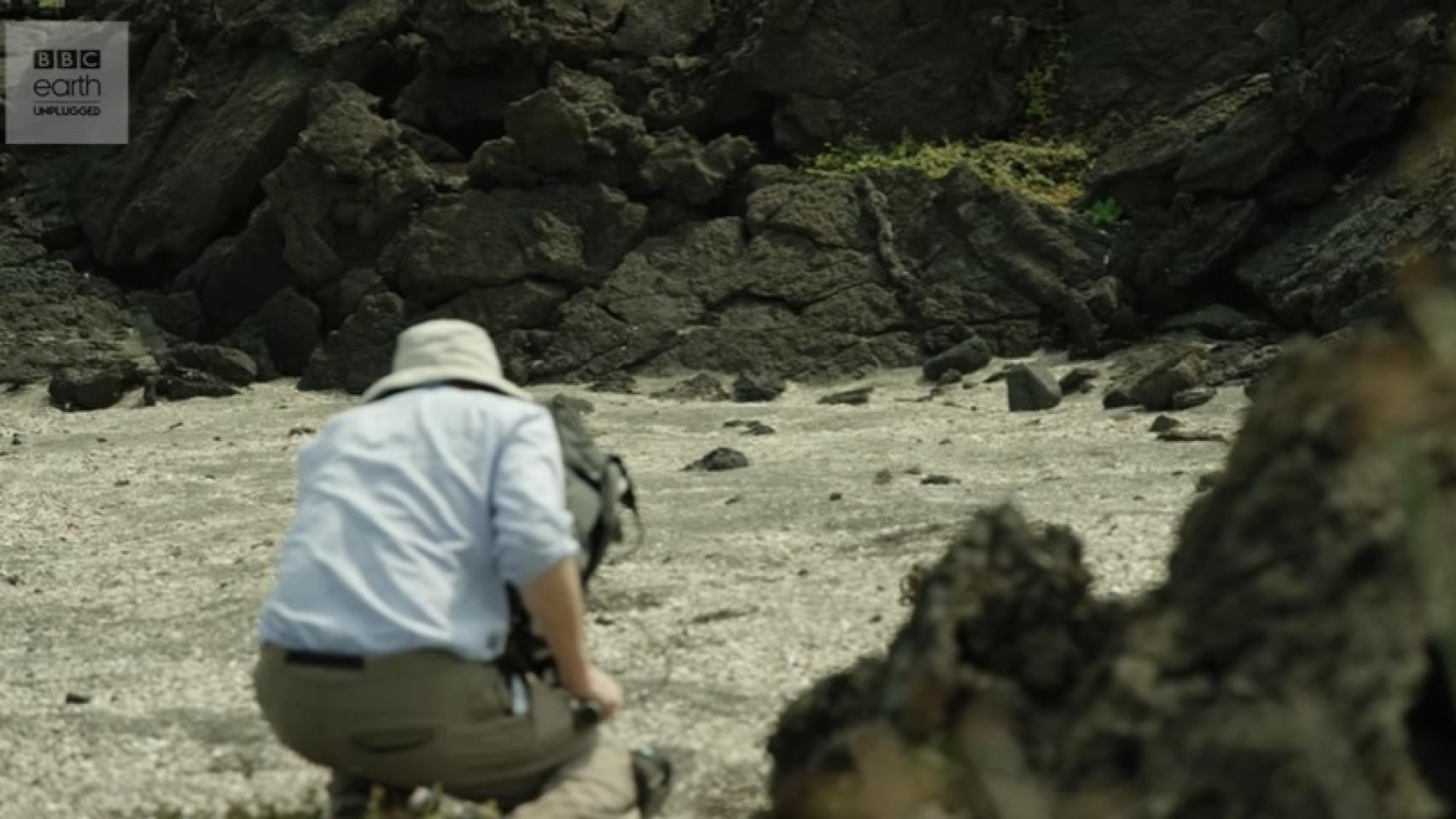 Uno de los cámaras de 'Planet Earth' que se encontraba grabando la escena.