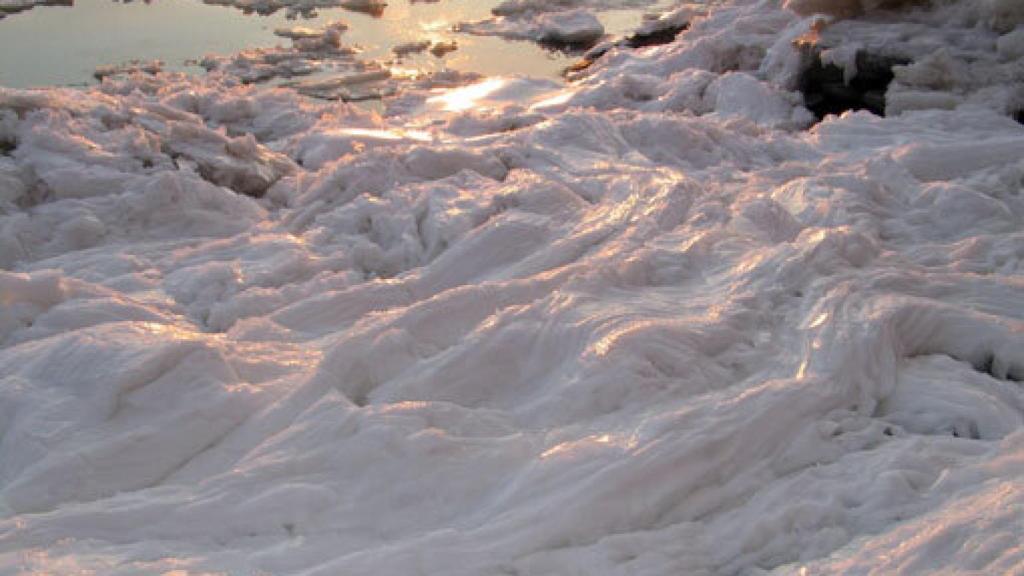 Image: Quejidos de Lothar Baumgarten