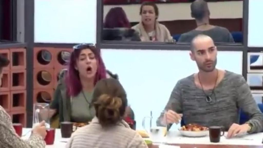 Estalla la guerra en 'GH 17': bronca entre Bea, Miguel, Adara y Meritxell
