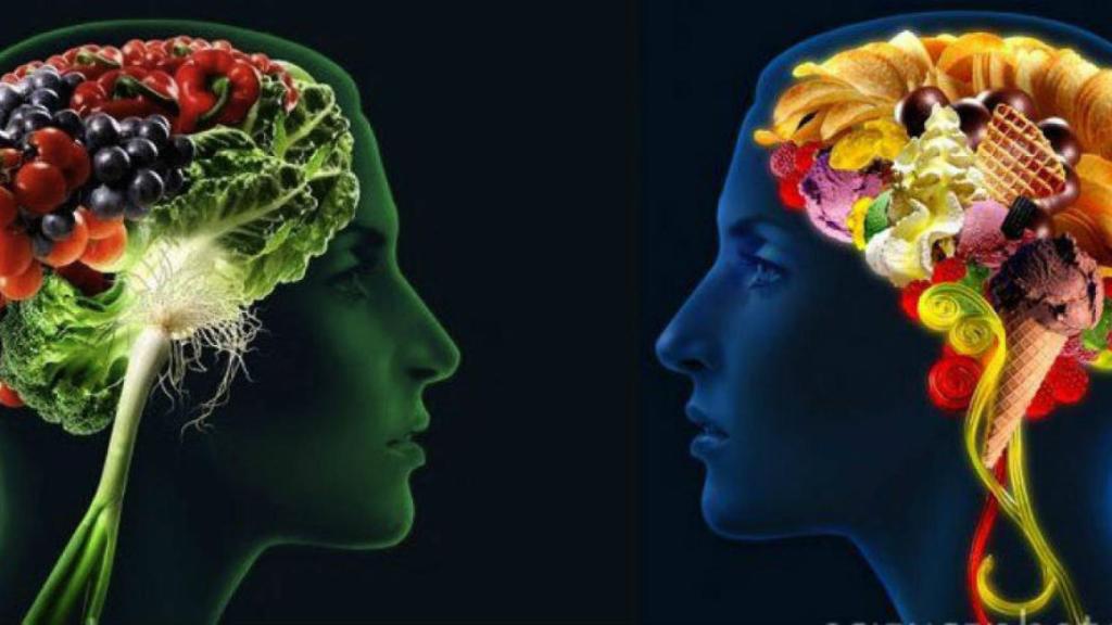 cerebro y sistema digestivo