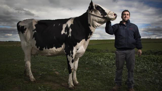 Javier Barrios Espejo, de la ganadería La Alegría de Añora.