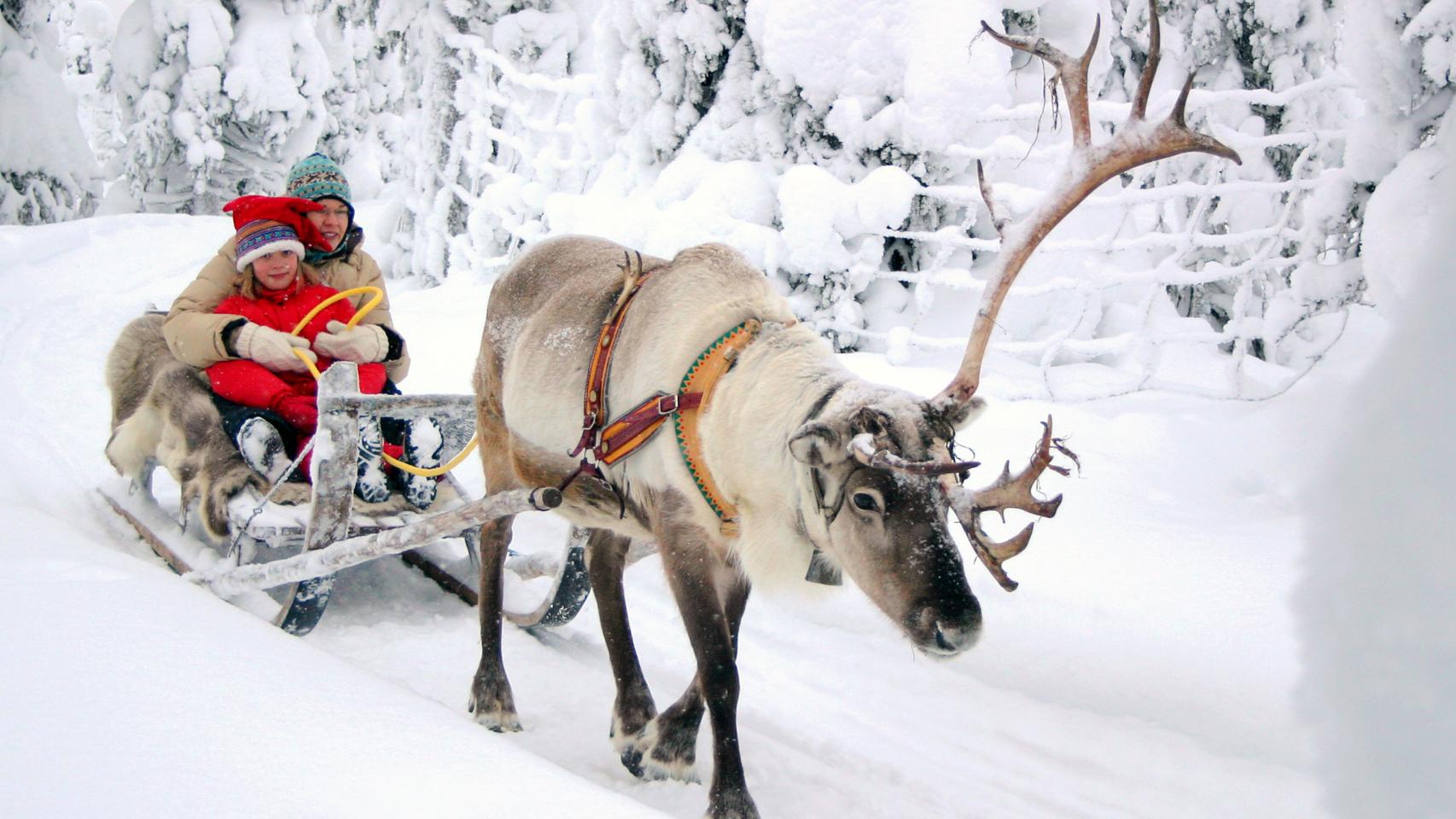 Podrán desplazarse en la nieve con trineos tirados por renos.