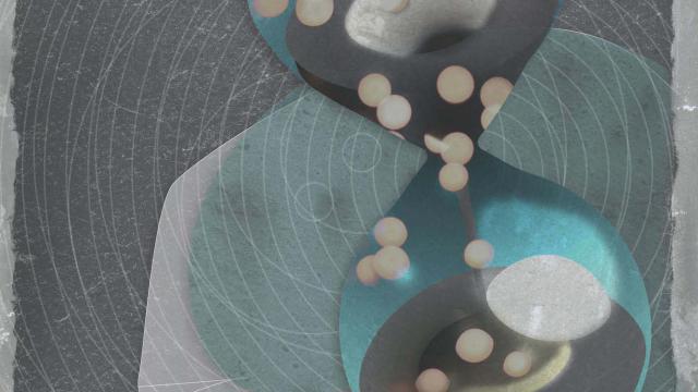 Ilustración sobre el hallazgo.