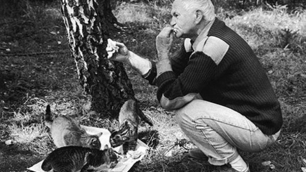 Image: Mi gato Auticko