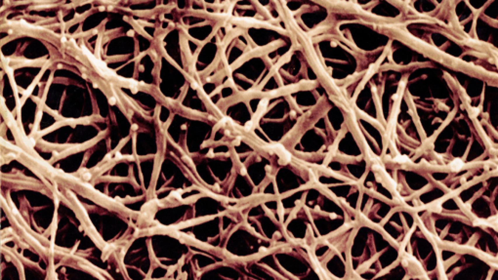 Image: Ciencia y alimentación