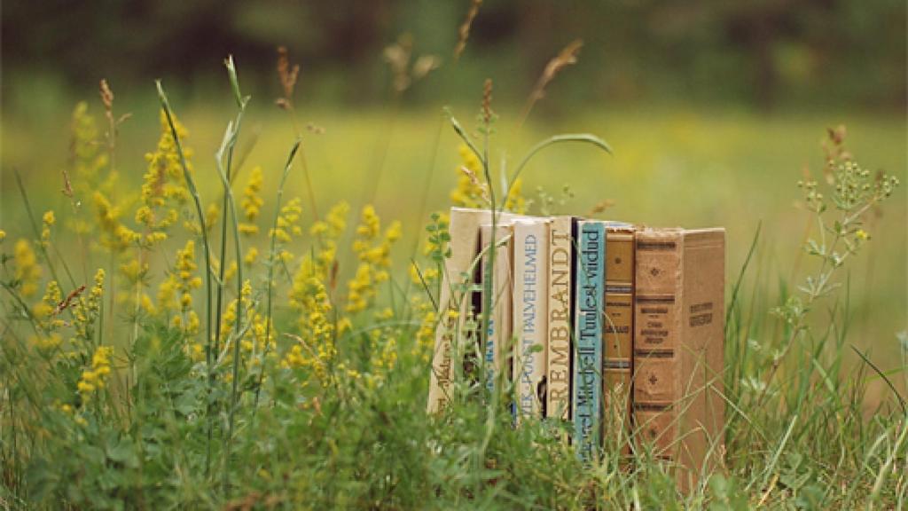 Image: La llamada de lo salvaje