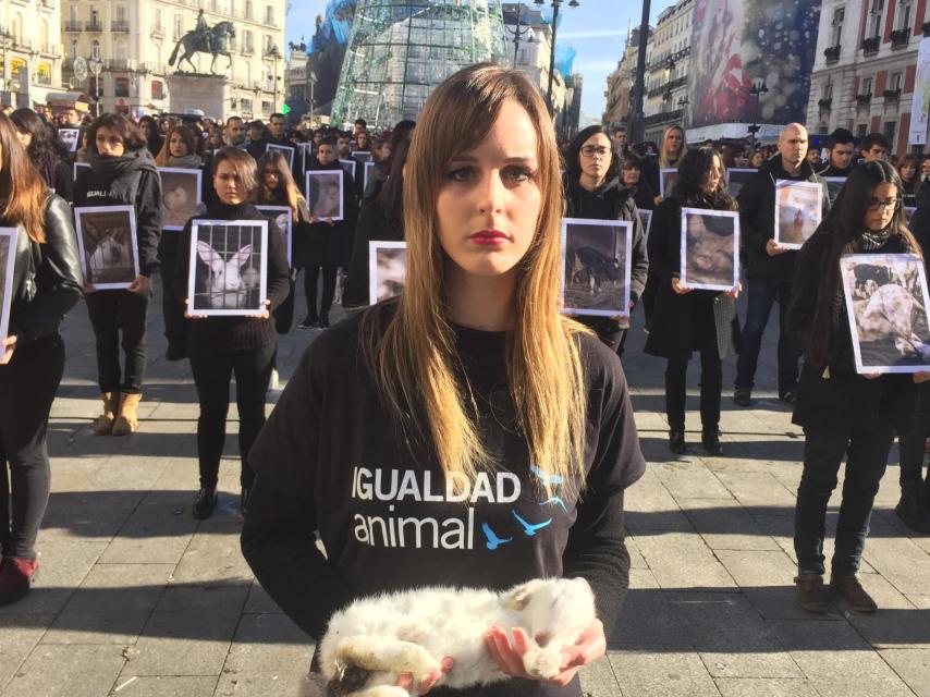 Una activista sostiene un conejo muerto.